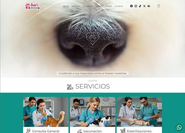 Amor Peludo, expertos en estÃ©tica canina y felina, servicios veterinarios profesionales, tienda de mascotas, Causas y CampaÃ±as pro animales.